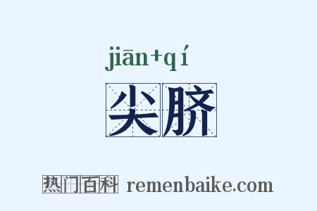 尖脐是什么意思的图片